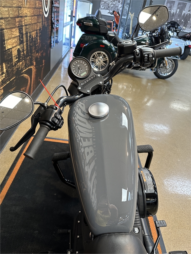 2022 Harley-Davidson Sportster Iron 883 at Hellbender Harley-Davidson