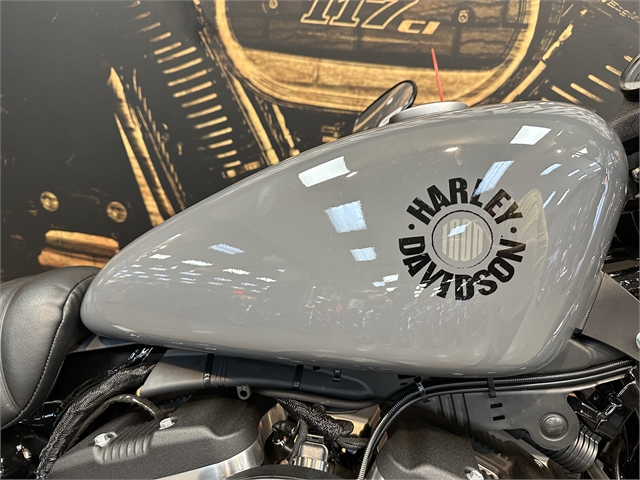 2022 Harley-Davidson Sportster Iron 883 at Hellbender Harley-Davidson