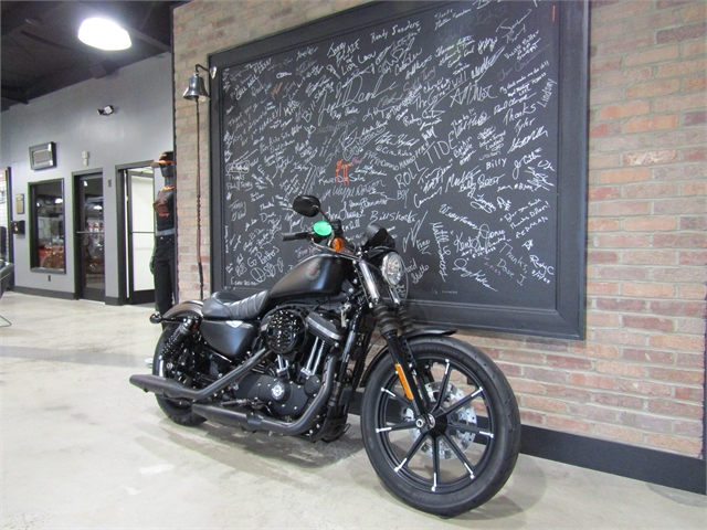 2021 Harley-Davidson Iron 883' Iron 883 at Cox's Double Eagle Harley-Davidson