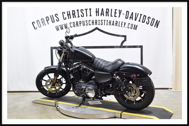 2022 Harley-Davidson Sportster Iron 883 at Corpus Christi Harley Davidson