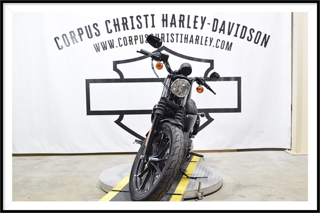 2022 Harley-Davidson Sportster Iron 883 at Corpus Christi Harley Davidson