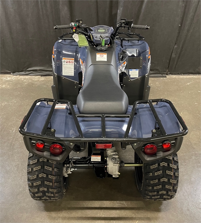 2024 Kawasaki Brute Force 300 Powersports St Augustine