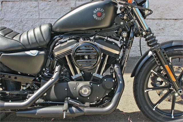 2022 Harley-Davidson Sportster Iron 883 at Ventura Harley-Davidson