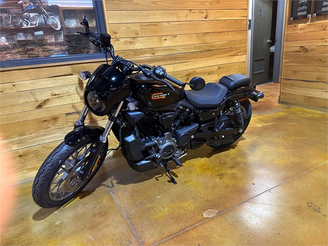 2023 Harley-Davidson Sportster Nightster Special at Thunder Road Harley-Davidson