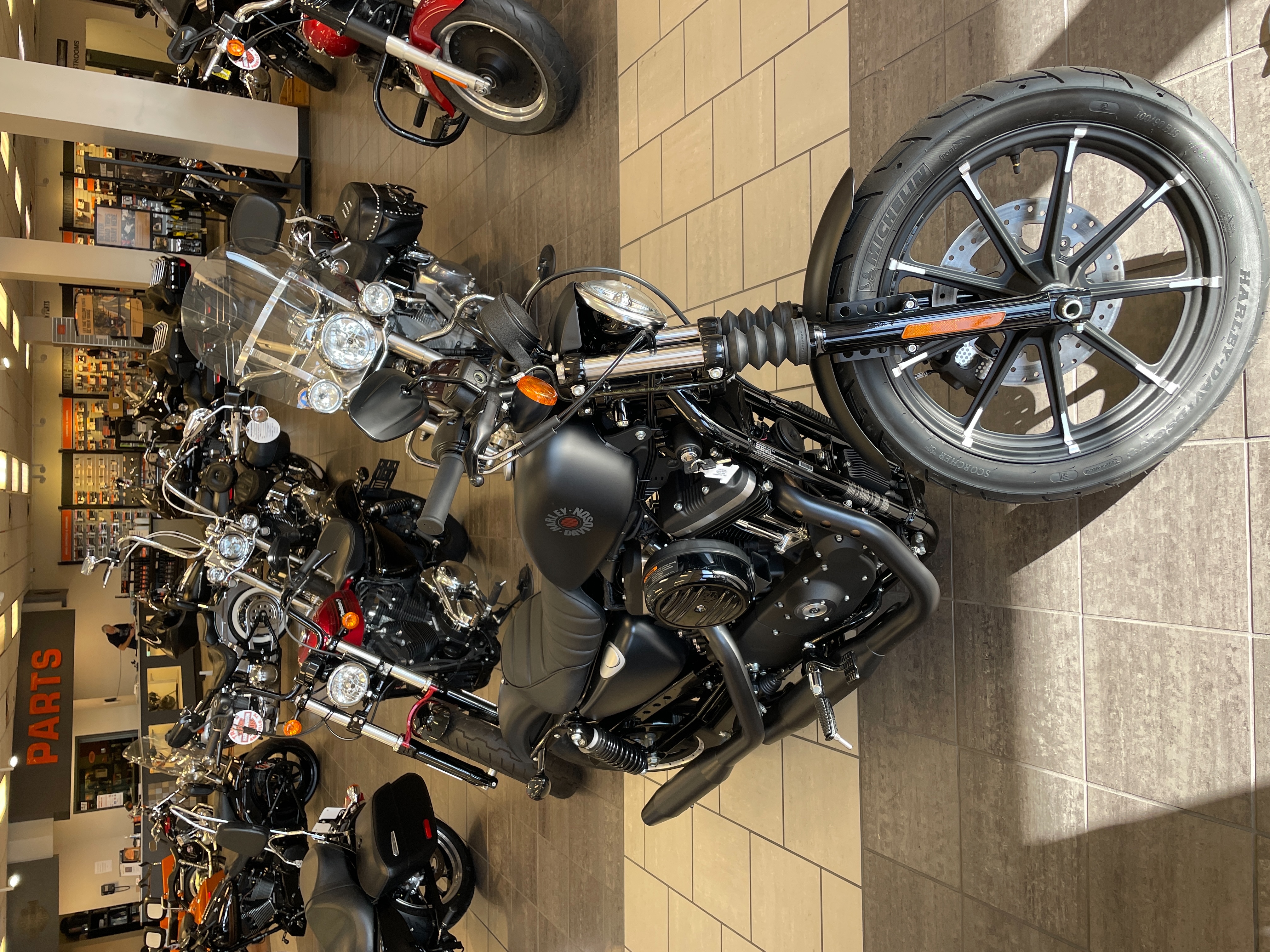 2022 Harley-Davidson Sportster Iron 883 at Tripp's Harley-Davidson