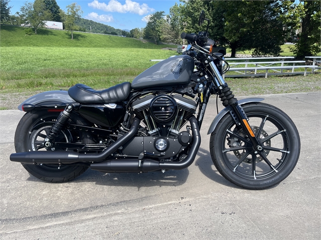 2022 Harley-Davidson Sportster Iron 883 at Harley-Davidson of Asheville