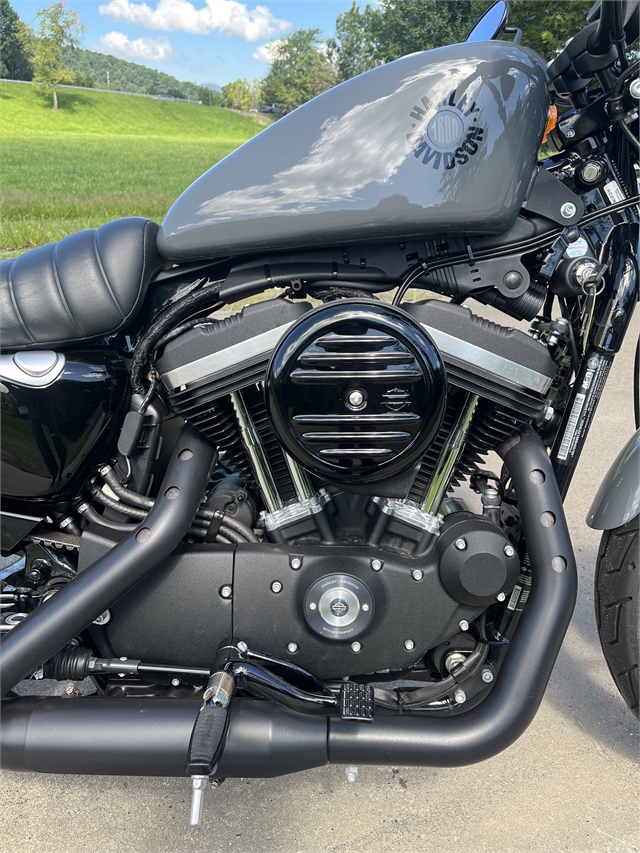 2022 Harley-Davidson Sportster Iron 883 at Harley-Davidson of Asheville