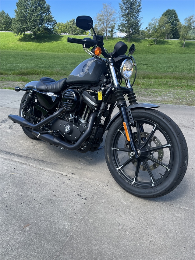 2022 Harley-Davidson Sportster Iron 883 at Harley-Davidson of Asheville