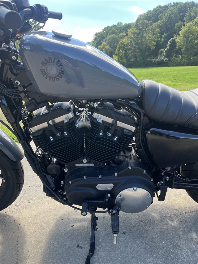 2022 Harley-Davidson Sportster Iron 883 at Harley-Davidson of Asheville