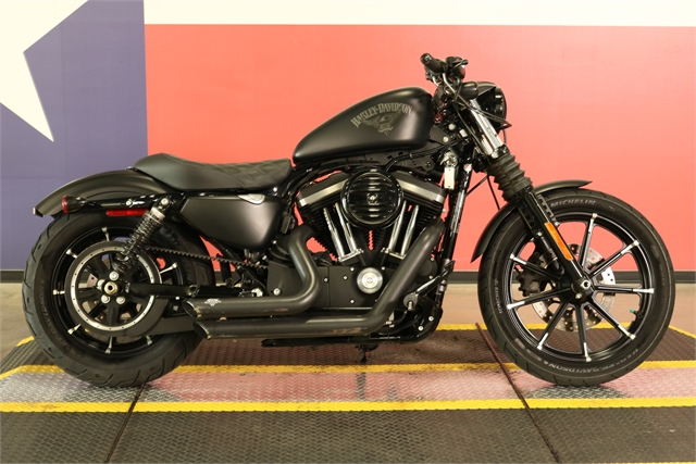 2017 Harley-Davidson Sportster Iron 883 at Texas Harley