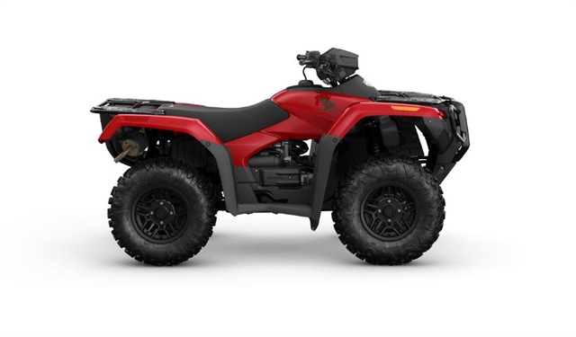 2024 Honda Fourtrax Rubicon 4x4 at Friendly Powersports Baton Rouge