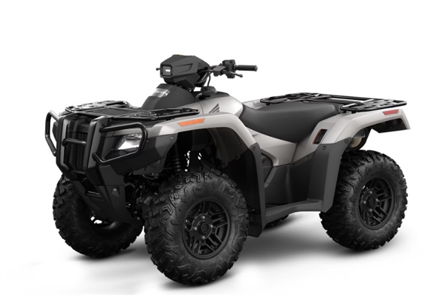 2024 Honda Fourtrax Rubicon 4x4 at Friendly Powersports Baton Rouge