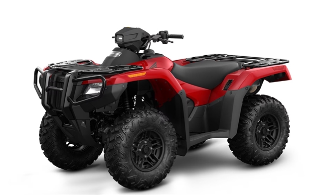 2024 Honda Fourtrax Rubicon 4x4 at Friendly Powersports Baton Rouge