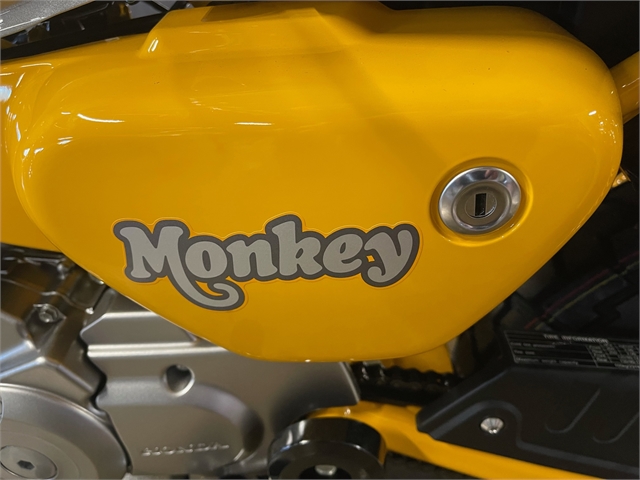 2023 Honda Monkey ABS at Powersports St. Augustine