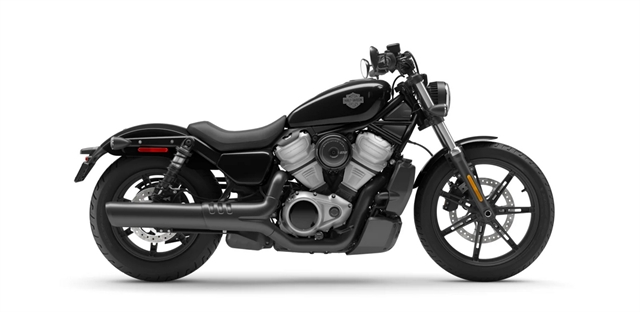 2023 Harley-Davidson Sportster Nightster at Suburban Motors Harley-Davidson