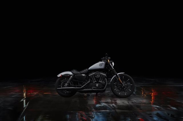 2020 Harley-Davidson Sportster Iron 883 at Palm Springs Harley-Davidson®