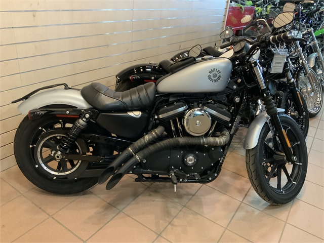 2020 Harley-Davidson Sportster Iron 883 at Midland Powersports