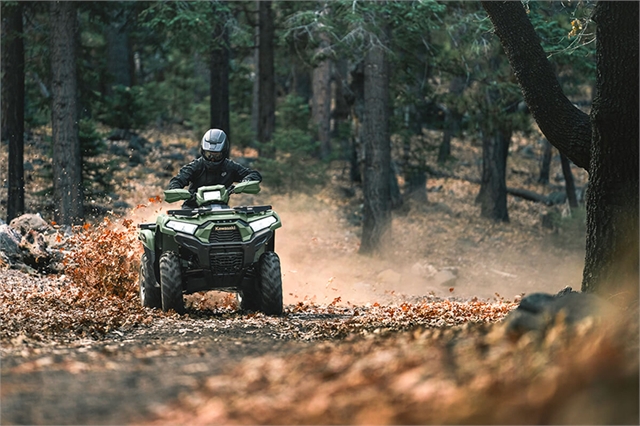 2024 Kawasaki Brute Force 750 EPS LE at McKinney Outdoor Superstore