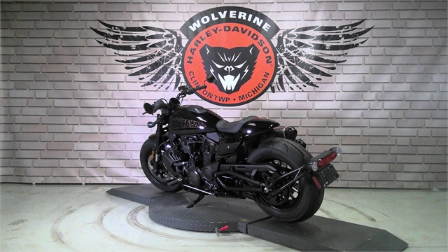 2024 Harley-Davidson Sportster at Wolverine Harley-Davidson