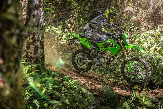 2025 Kawasaki KLX 300 at Ehlerding Motorsports