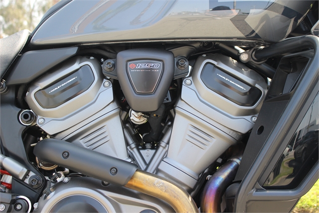 2022 Harley-Davidson Pan America 1250 Special at Quaid Harley-Davidson, Loma Linda, CA 92354