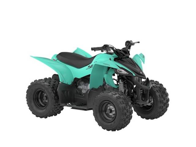 2025 Yamaha YFZ 50 at Martin Moto