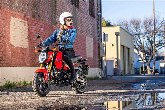 2025 Honda Grom Base at Ehlerding Motorsports