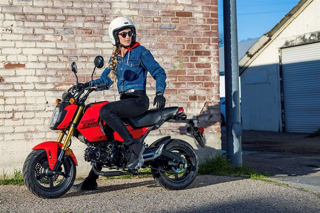 2025 Honda Grom Base at Ehlerding Motorsports