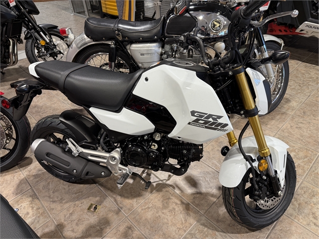 2025 Honda Grom Base at Ehlerding Motorsports