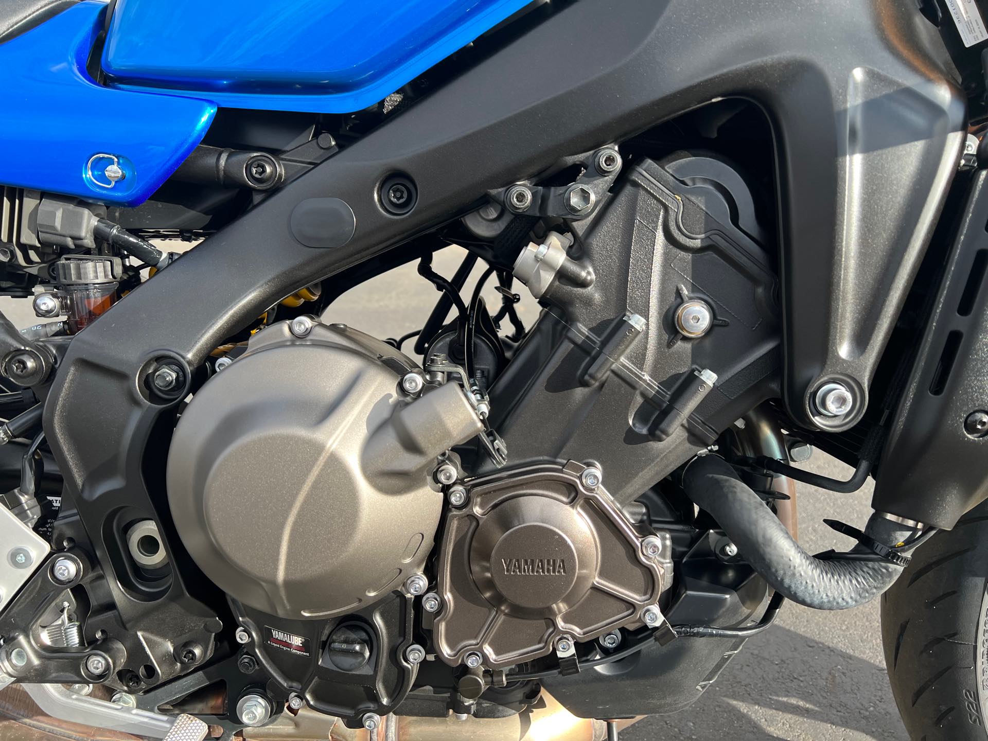 2023 Yamaha XSR 900 at Aces Motorcycles - Fort Collins