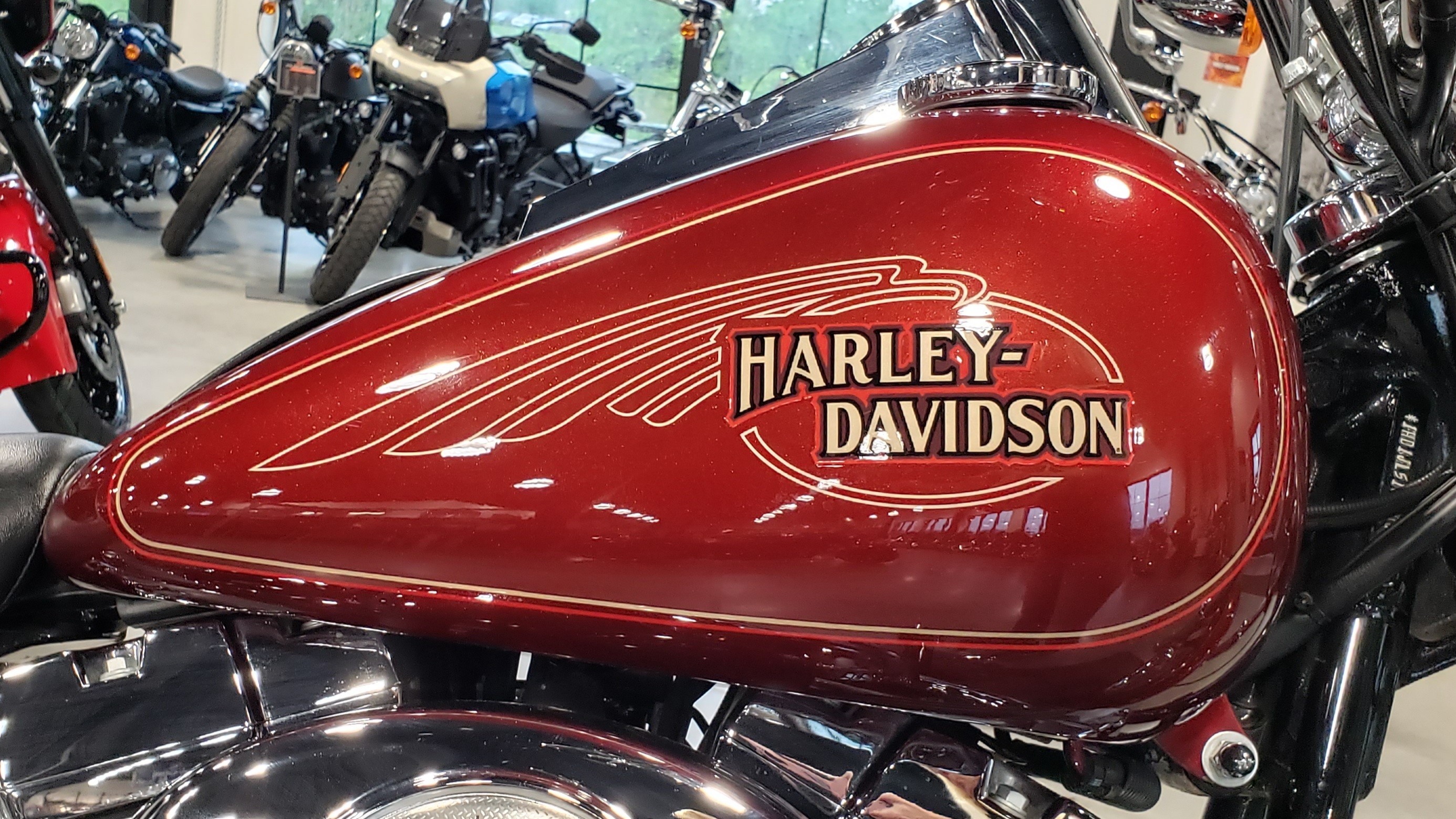 2009 Harley-Davidson Softail Custom at Keystone Harley-Davidson