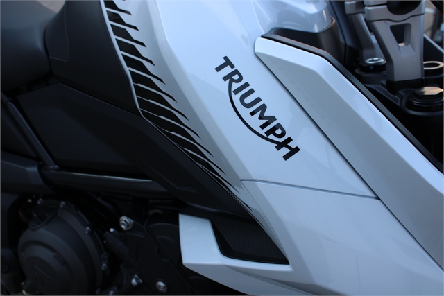 2024 Triumph Tiger 660 Sport at Eurosport Cycle