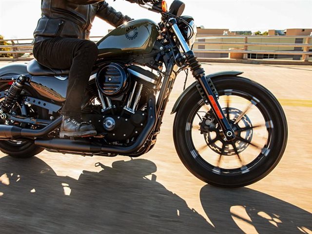 2021 Harley-Davidson Iron 883' at Randy's Cycle