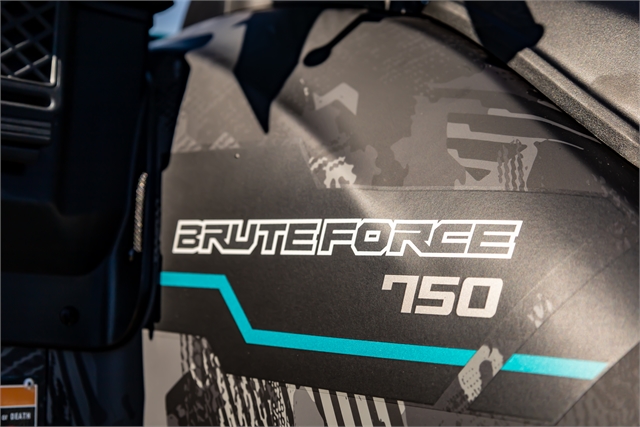 2024 Kawasaki Brute Force 750 EPS LE at Friendly Powersports Slidell