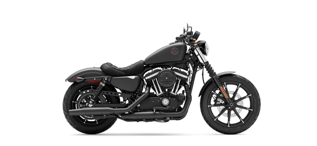 2022 Harley-Davidson Sportster Iron 883 at South East Harley-Davidson