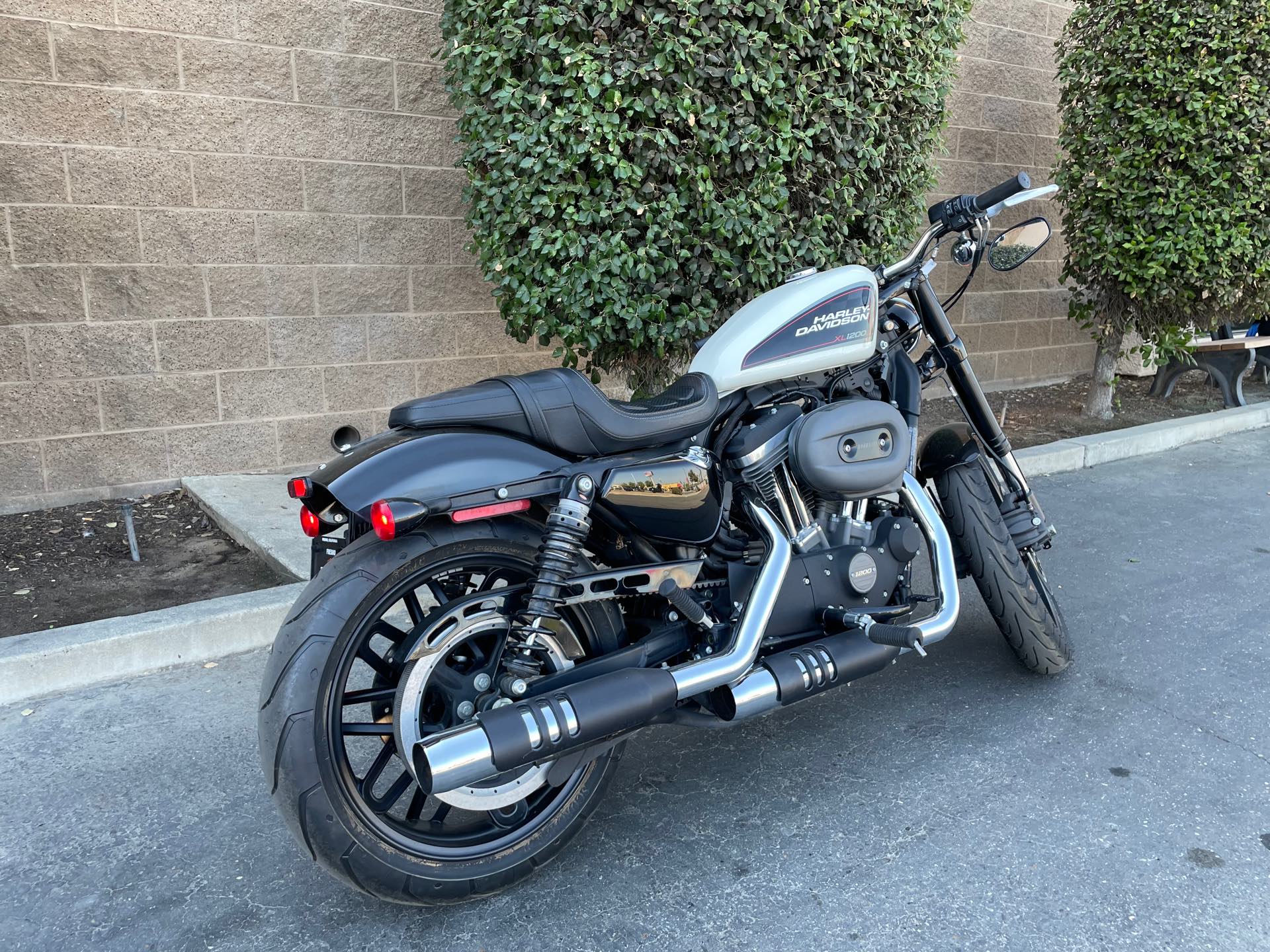 2019 Harley-Davidson Sportster Roadster at Fresno Harley-Davidson