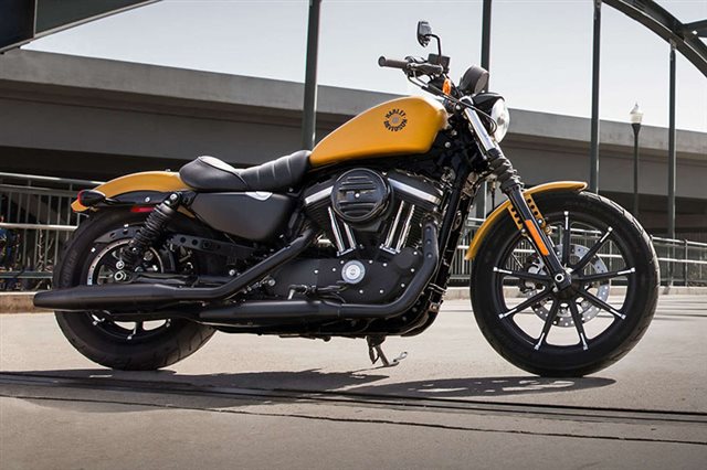 2019 Harley-Davidson Sportster Iron 883 at Fresno Harley-Davidson