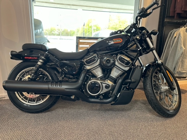 2023 Harley-Davidson Sportster Nightster Special at Carlton Harley-Davidson®