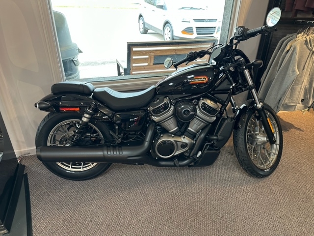 2023 Harley-Davidson Sportster Nightster Special at Carlton Harley-Davidson®