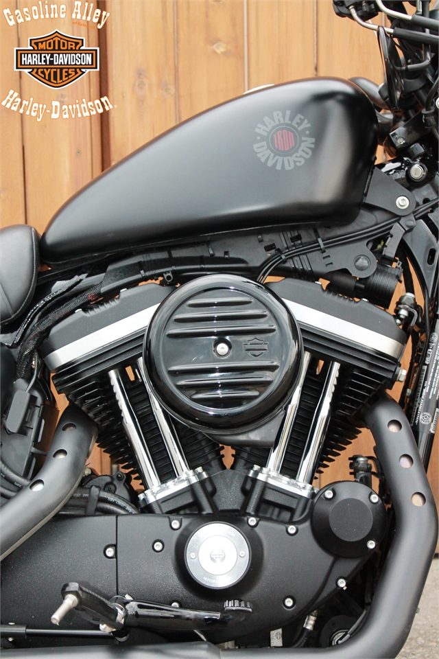 2019 Harley-Davidson Sportster Iron 883 at Gasoline Alley Harley-Davidson of Kelowna