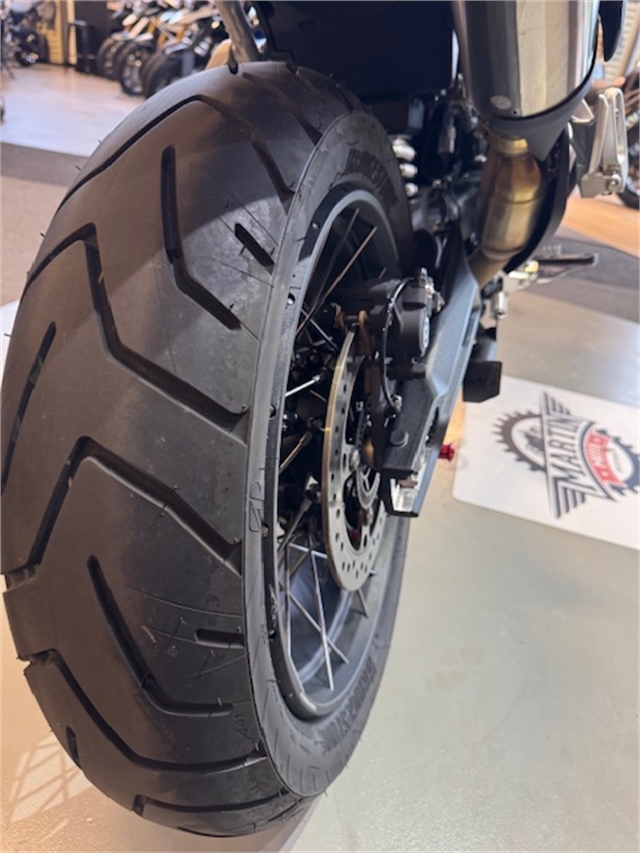 2023 Triumph Tiger 900 Rally Pro at Martin Moto