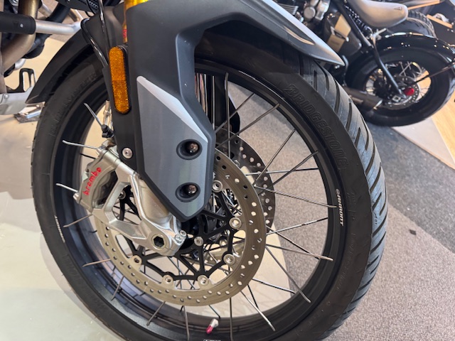 2023 Triumph Tiger 900 Rally Pro at Martin Moto