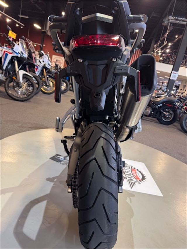 2023 Triumph Tiger 900 Rally Pro at Martin Moto