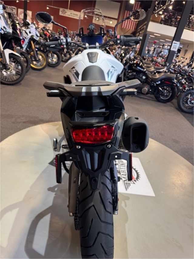 2023 Triumph Tiger 900 Rally Pro at Martin Moto
