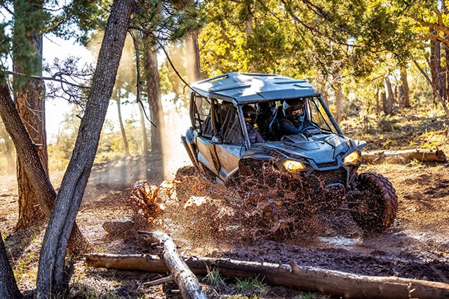 Honda Talon 1000X-4 Image