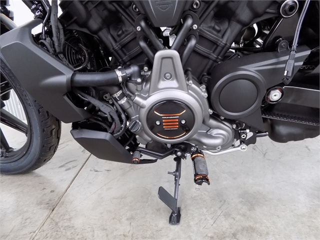 2023 Harley-Davidson Sportster Nightster at St. Croix Harley-Davidson