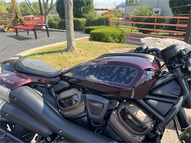 2021 Harley-Davidson Sportster at Man O'War Harley-Davidson®