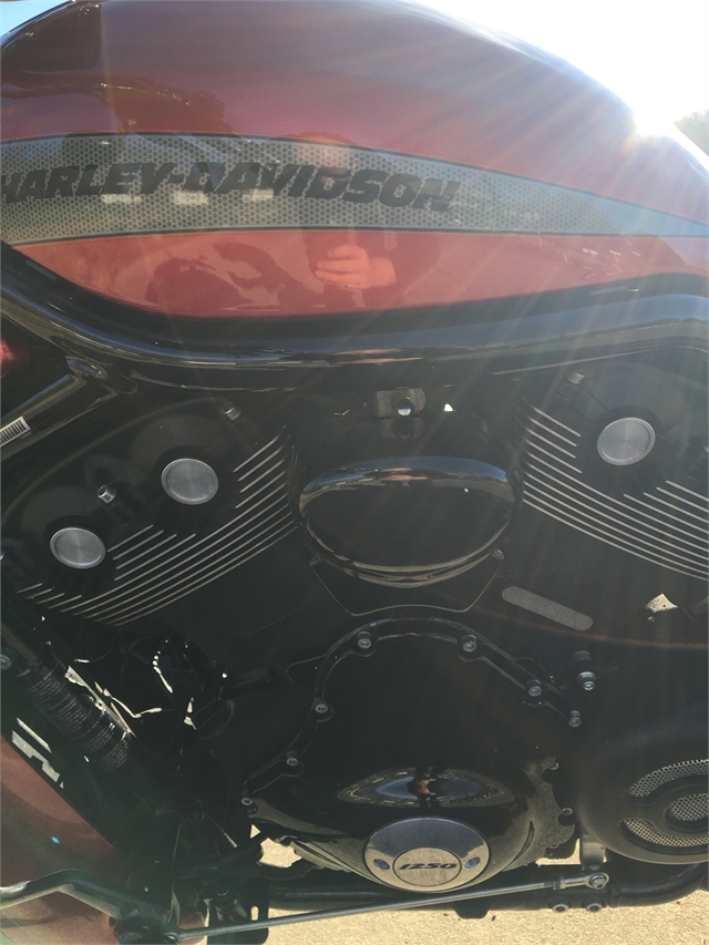 2013 Harley-Davidson V-Rod Night Rod Special at Harley-Davidson of Asheville