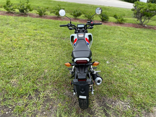 2022 Honda Grom | Powersports St. Augustine