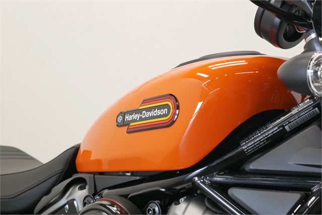 2024 Harley-Davidson Sportster Nightster Special at Texoma Harley-Davidson